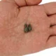 Hirisi eslabones de anzuelo de cambio rápido para Method Feeder carpa - imagen 4