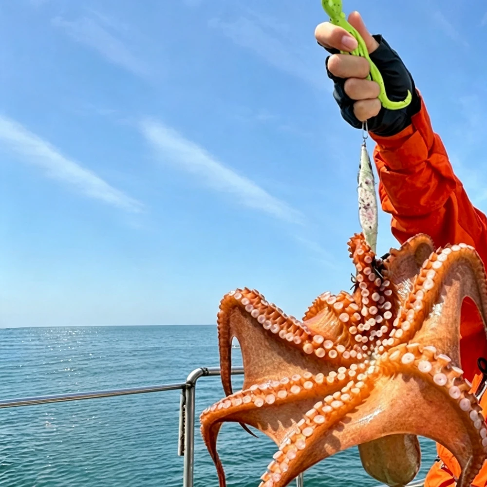 Ackibbik señuelo pulpo jigging luminoso con faldas elásticas Tairaba - imagen 5