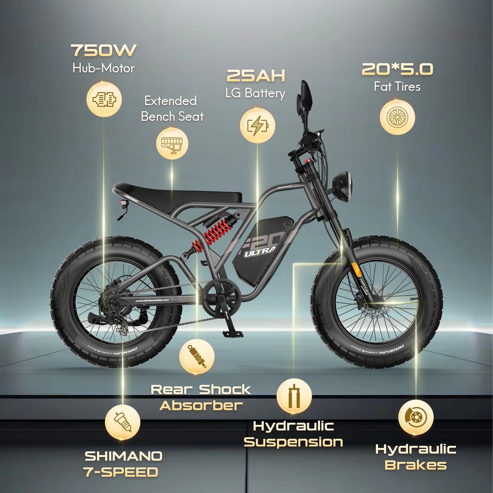 FAFREES F20 Bicicleta eléctrica Fattire con freno hidráulico - imagen 5