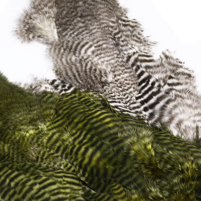 Mosca artificial Woolly Bugger con plumas Marabou - Señuelo para pesca - imagen 3