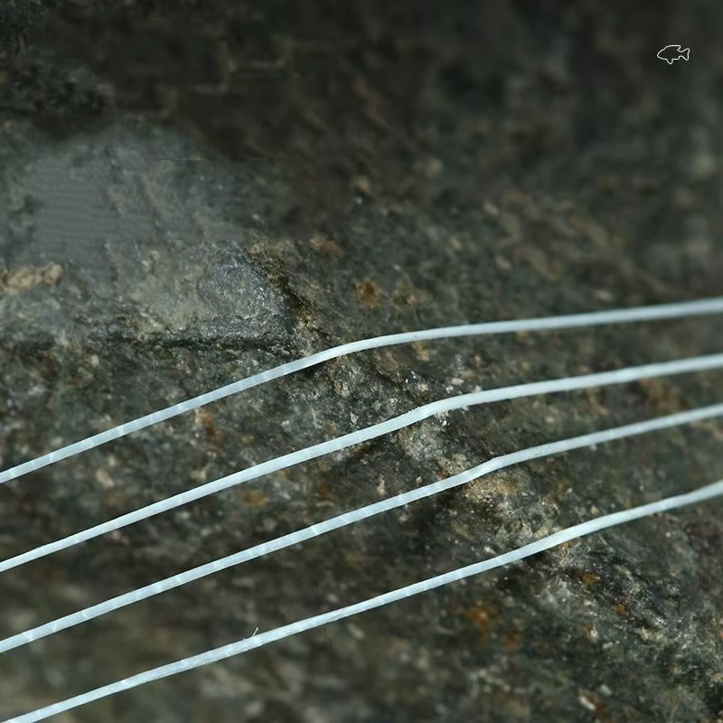 Línea de pesca nailon ultra suave anti-mordeduras para carpa