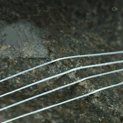 Línea de pesca nailon ultra suave anti-mordeduras para carpa