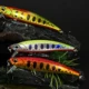 WALK FISH Intruder Stream señuelo minnow hundido para carpa y lubina - imagen 4