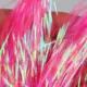 Streamer Gliss Glow corrugado simula escamas de pez con lentejuelas - imagen 5