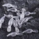 Dr.Holife Crankbait flotante sin pintar para bricolaje - imagen 4