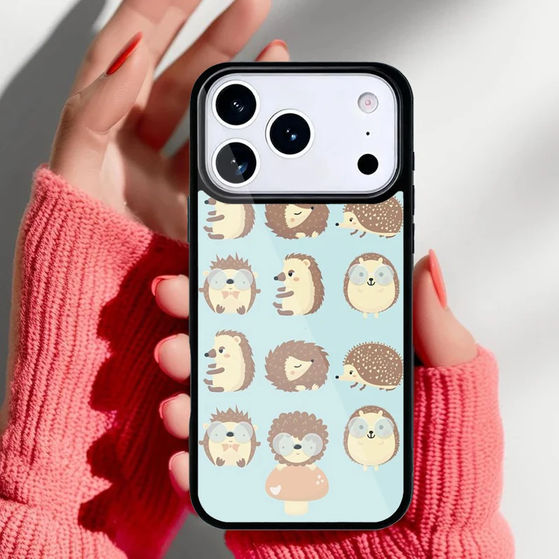 Detalle del ajuste preciso en iPhone