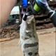 Línea trenzada PE suave hundimiento rápido para flotador deslizante - imagen 5