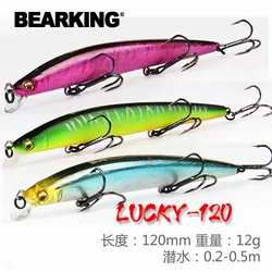 Bearking Minnow 12cm – Señuelo duro para lubina y lucio con triples
