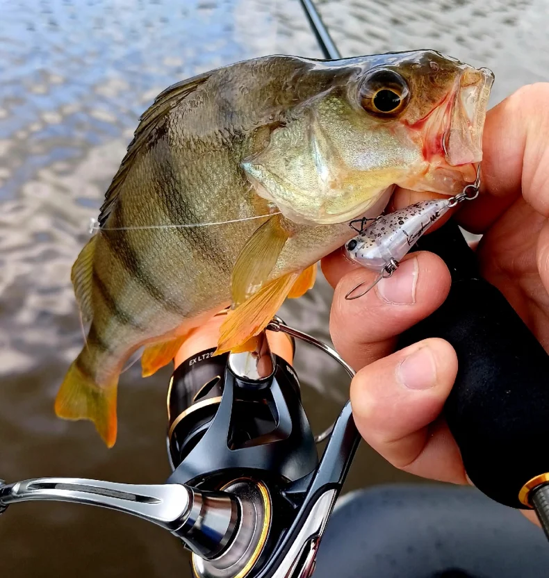 Señuelo Kingdom Micro Expert frontal
