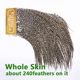 Ewing sillín mosca seca grizzly natural – pluma hackle para atado - imagen 5