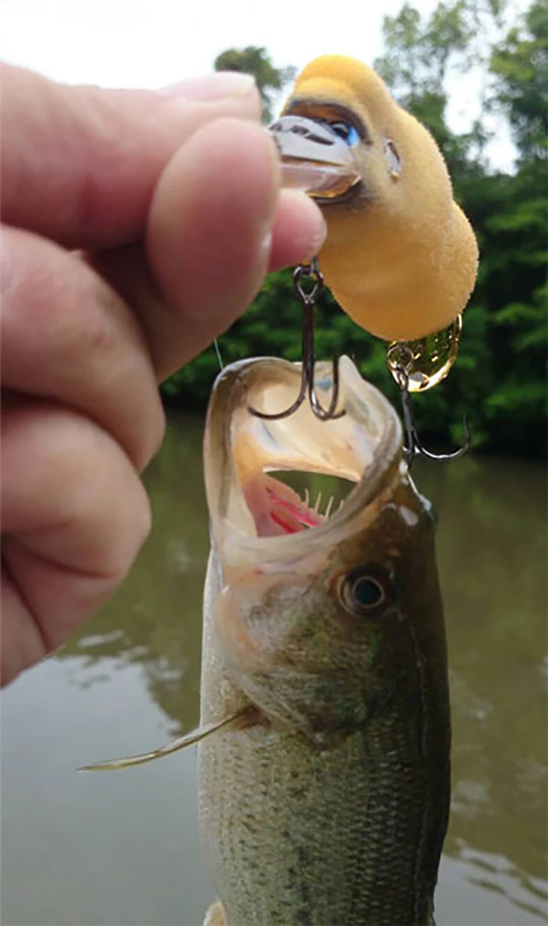 Señuelo topwater para lubina