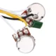Kit de cableado para bajo eléctrico multicolor precableado