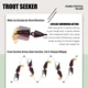 Mini señuelo minnow Mustad para pesca de trucha y lubina - imagen 4