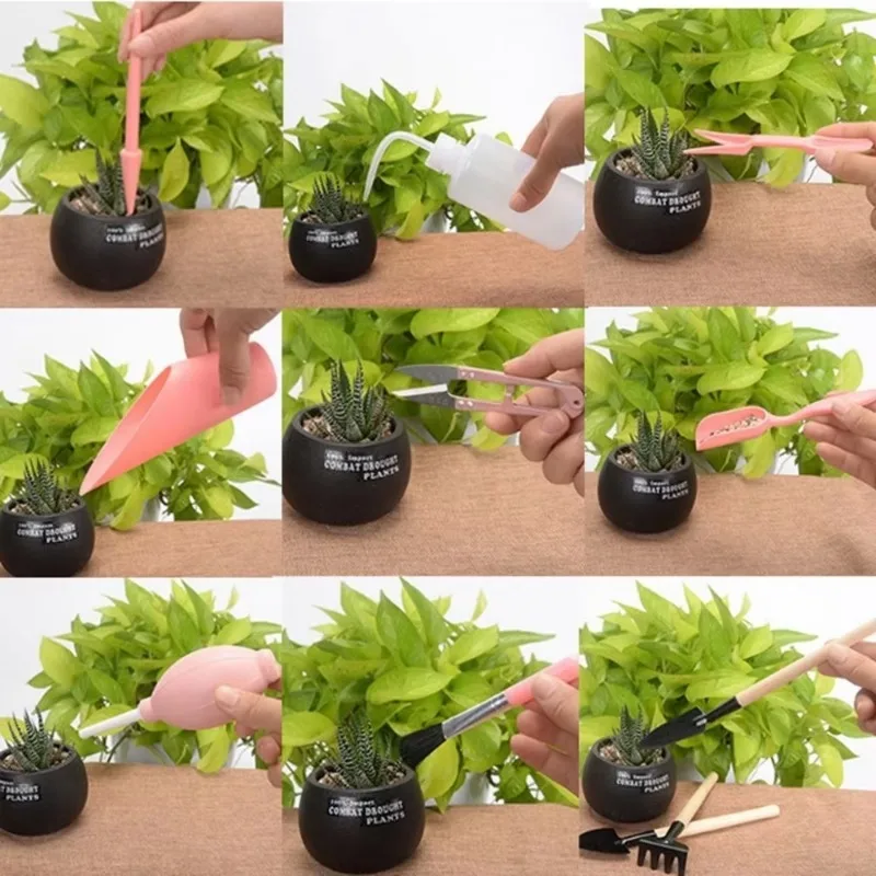 Kit de trasplante mini de herramientas para plantar en maceta - imagen 5