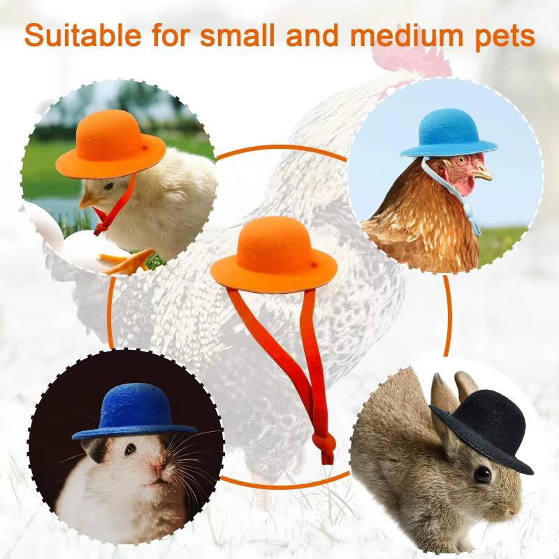 Sombrero para gallinas y aves pequeñas - Accesorio divertido - imagen 3