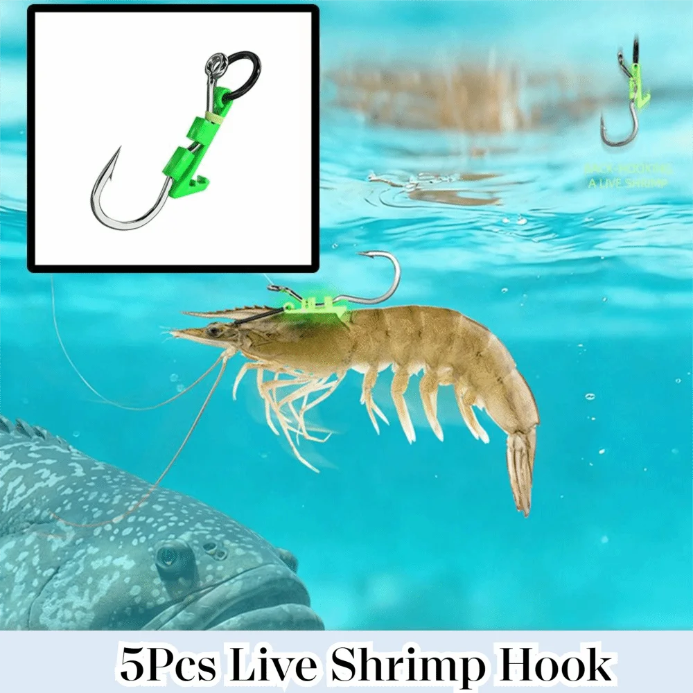 Anzuelos luminosos para camarón vivo de acero inoxidable – púas - imagen 5