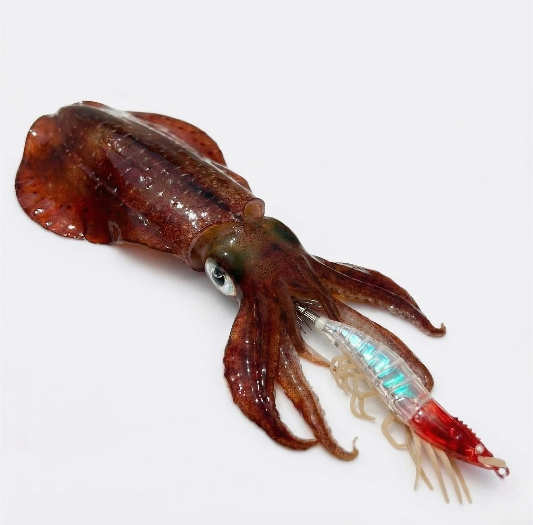 Señuelos EGI luminosos de silicona para calamar y pulpo, agua salada - imagen 5