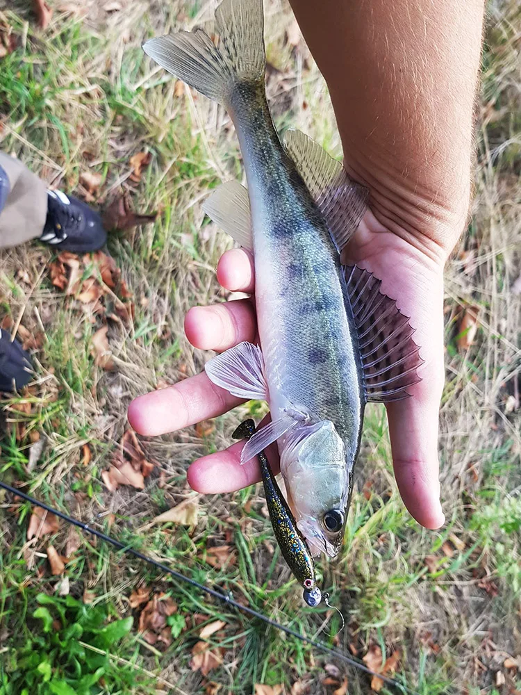ESFISHING Cebo blando vinilo aleta de pato para lucio - imagen 5