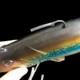 Señuelo Swolfy anti-mordida para pesca de fondo y alta mar - imagen 2