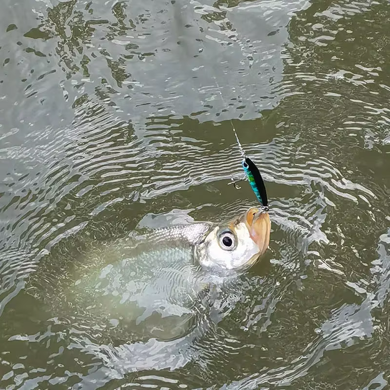 OUTKIT Señuelo lápiz hundido para agua dulce - para trucha y lucio - imagen 3