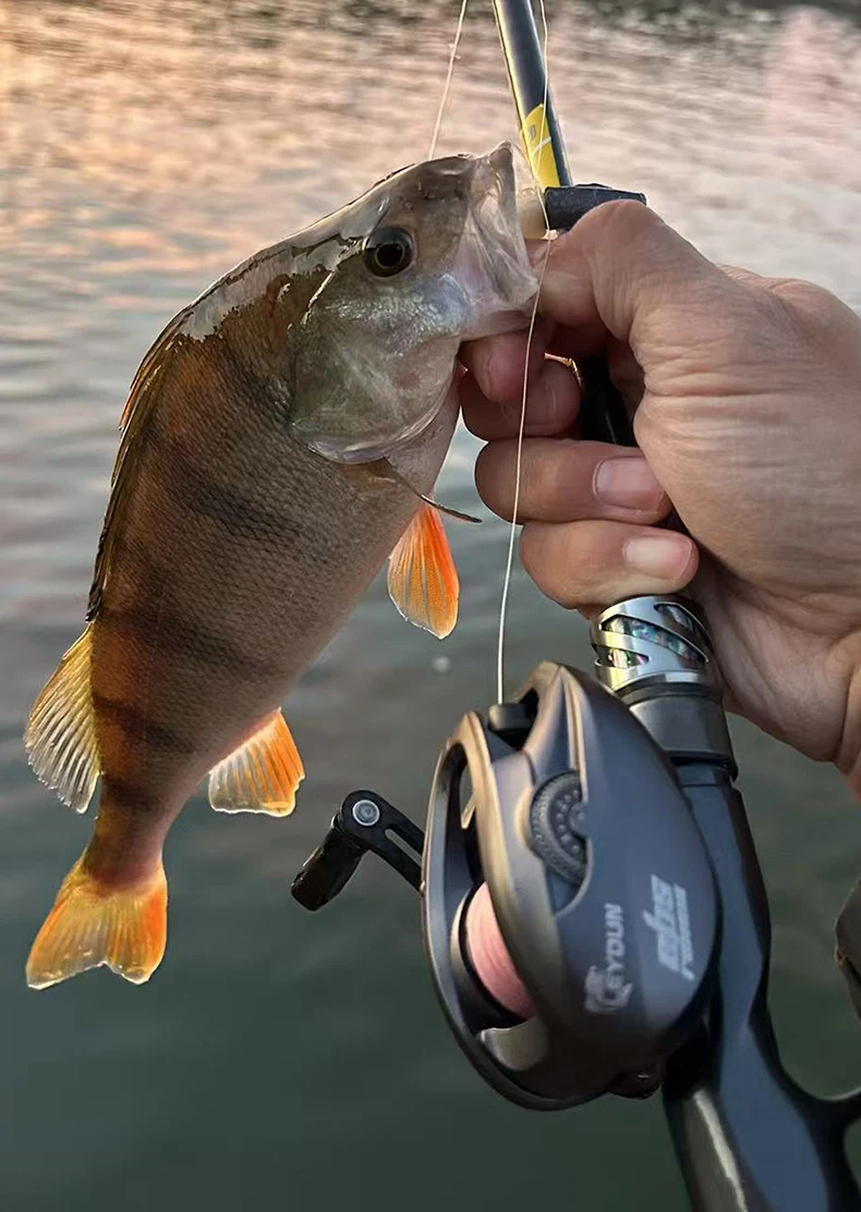 Carrete de baitcasting LEYDUN REMUS