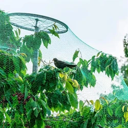 Goture Garden Netting: malla de protección aves y plagas para cultivos