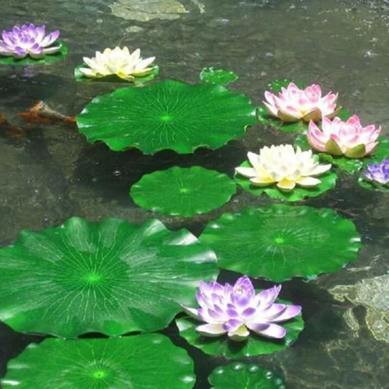 Detalle de la textura y color verde de una hoja flotando en agua