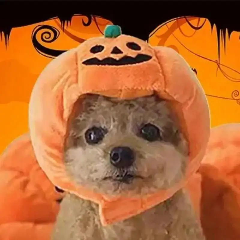 Sombrero de calabaza para perros y gatos – accesorio Halloween - imagen 4