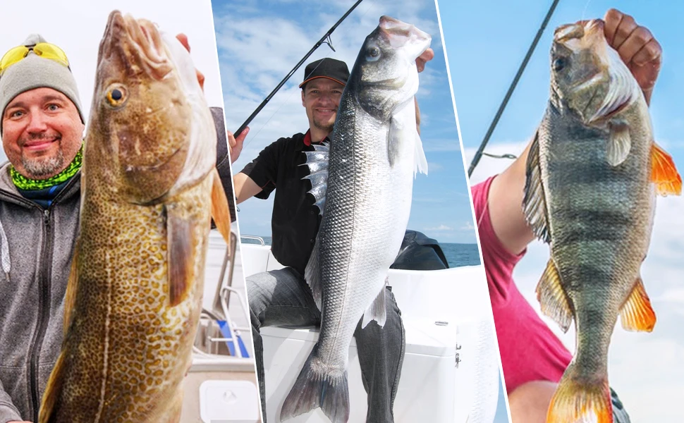Accesorios variados para montajes de pesca