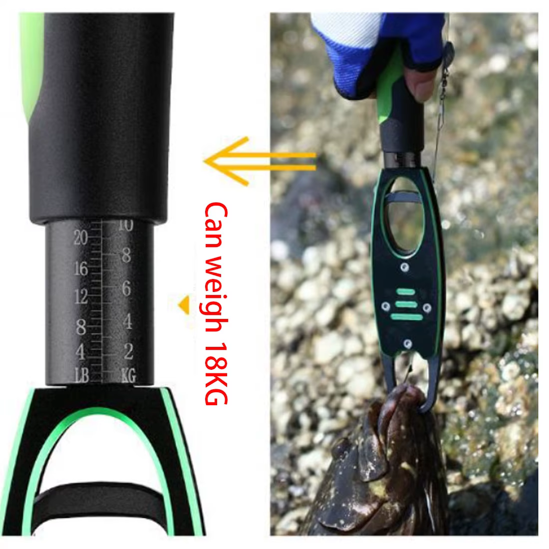 TAKEDO BL-040 Pinzas de labio para pesca multifuncionales 28,8 cm - imagen 4