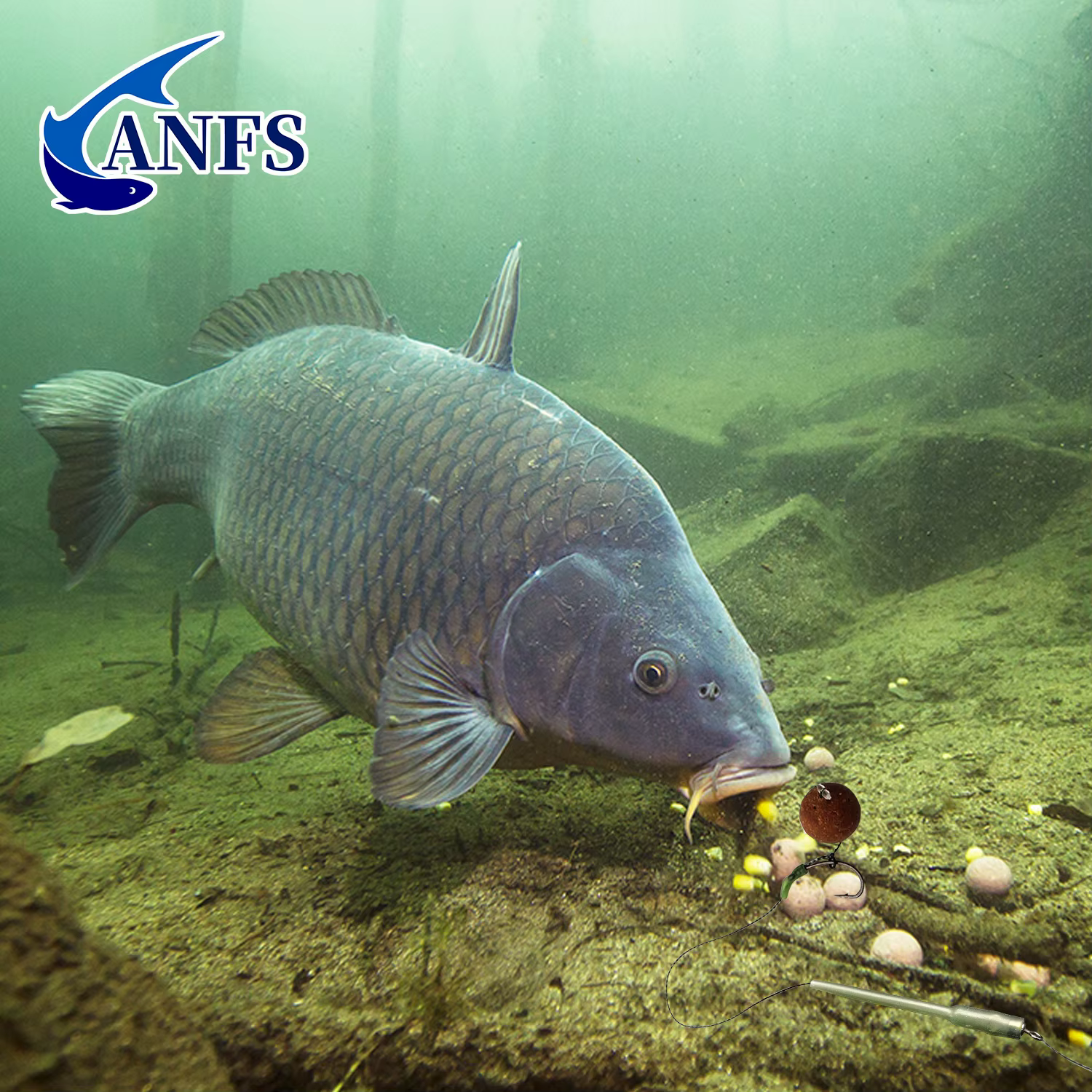 ANFS Juego de Hair Rigs para carpa – Montajes y aparejos de pesca - imagen 3