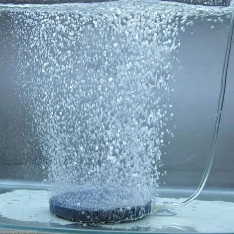 Piedra aireadora con burbujas para oxígeno en tanques de peces - imagen 5