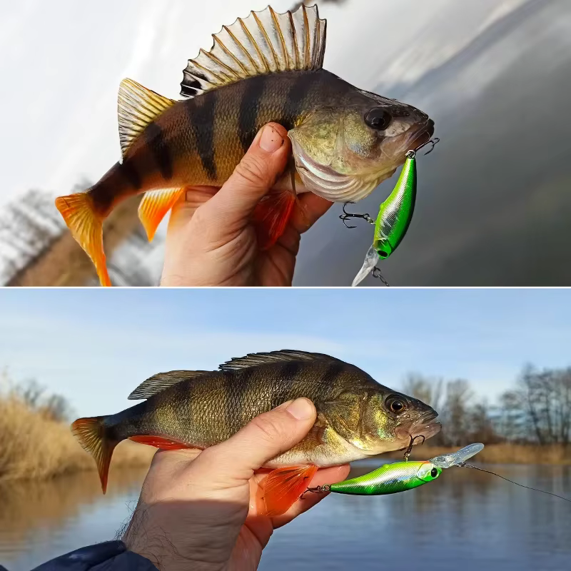TSURINOYA Jerkbait 60SP suspendido 5,7g para lucio y perca - imagen 5
