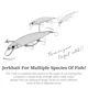 TSURINOYA IMP 115S señuelo minnow sinking de lance largo – Lubina - imagen 2