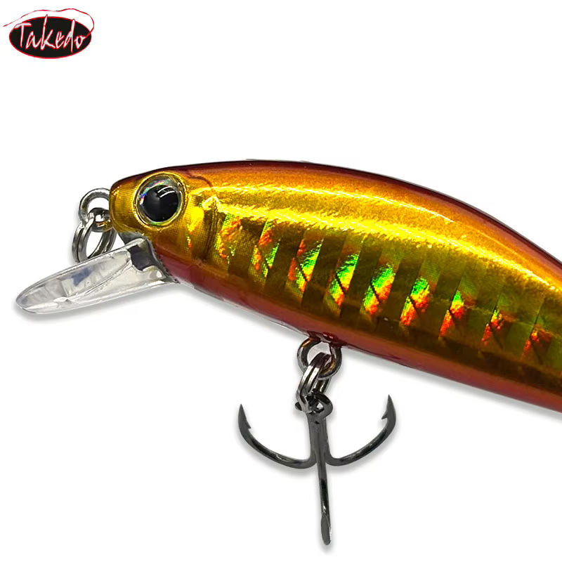TAKEDO LB50 Señuelo Minnow de Hundimiento Lento con Anzuelos VMC - imagen 2