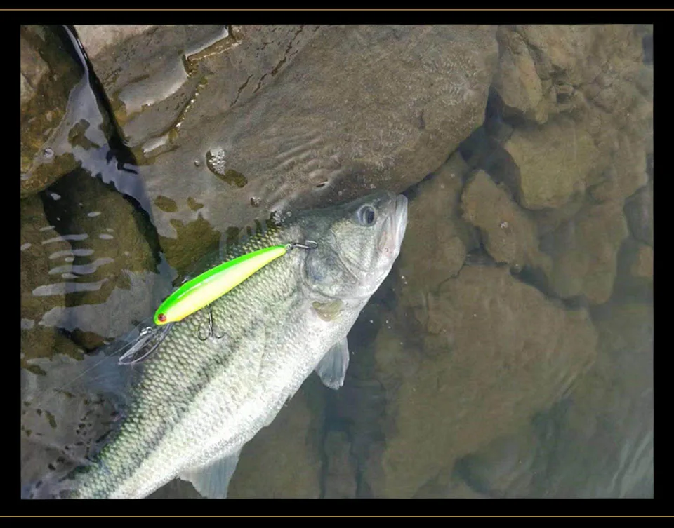 Señuelo Minnow en detalle