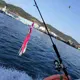 Obsession J108 jig para calamar metálico con falda luminosa - imagen 4