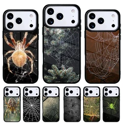 Funda Teléfono Telaraña para iPhone 17-11 – Carcasa Trasera