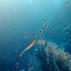 Texas Rig anzuelo crank con plomada para vinilo y pesca de surf