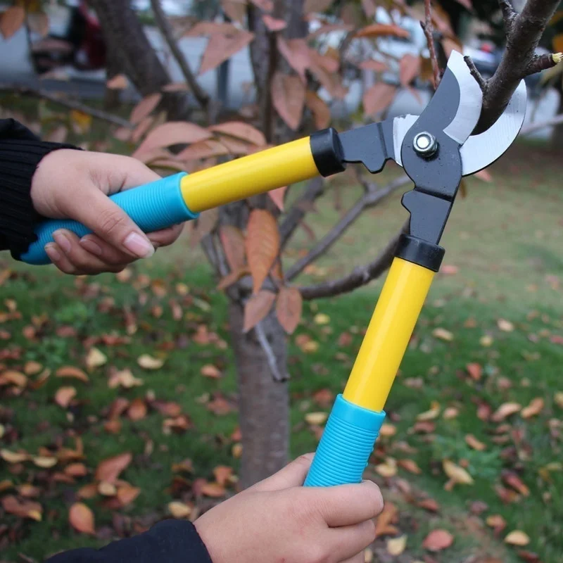 Tijeras de podar con hoja y mango PVC