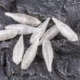 Señuelo duro de superficie Dr.Holife, artificial sin pintar - imagen 5