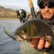 Free Fisher Wobbler nimbait lápiz con anzuelo triple para lubina - imagen 2