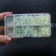 MNFT Cuentas luminosas de pesca que brillan en la oscuridad - imagen 5