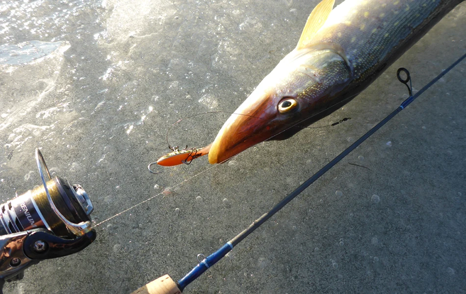 Señuelos de colores para pesca en hielo