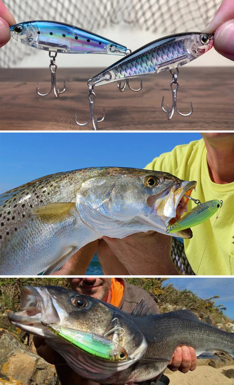 Comparativa de colores del lote
