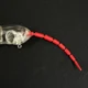 Señuelo Topwater multiarticulado pececillo de ratón biónico - imagen 5