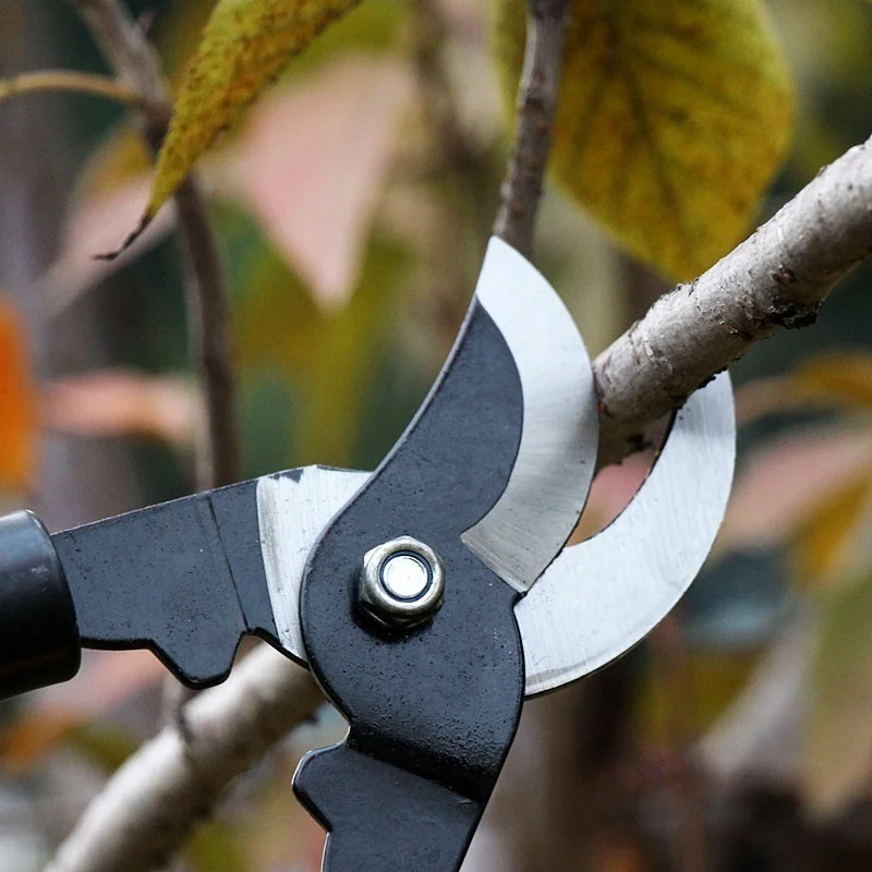 Tijeras de jardinería para setos y árboles
