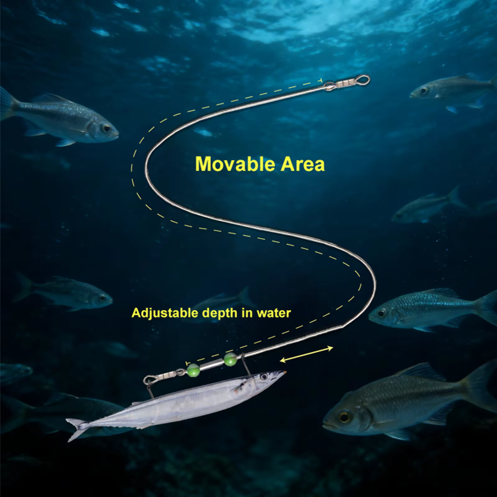 Líneas de Pesca en Acero Inoxidable con Anzuelos Dobles – Distancia Ajustable - imagen 5