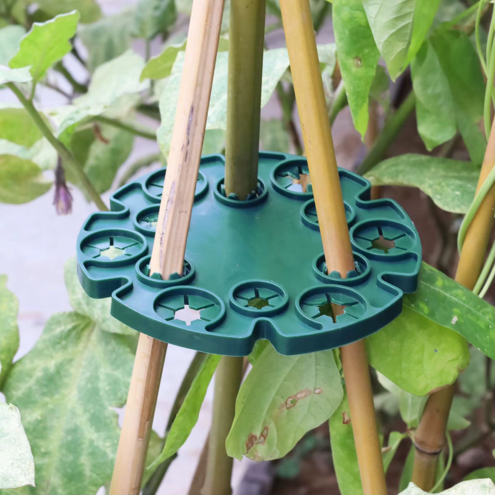 Soporte Reutilizable para Plantas Trepadoras y Tallos - imagen 2