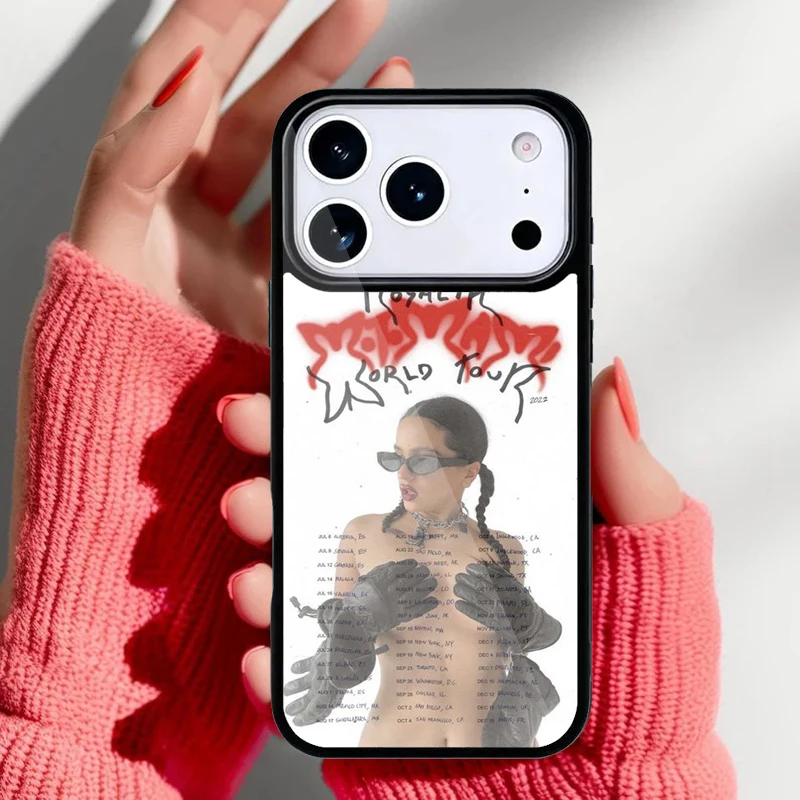 Detalle del diseño y bordes de la funda